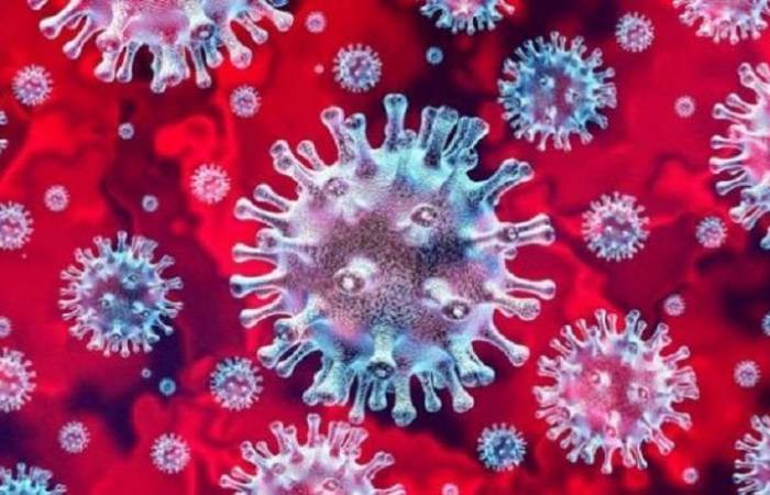 دراسات تؤكد: إصدار أول لقاح لفيروس كورونا خلال أيام