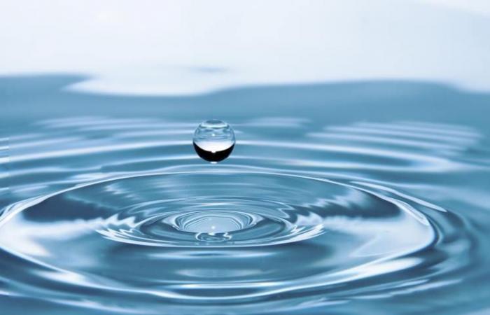 اهمية الماء للجهاز الدورى للانسان