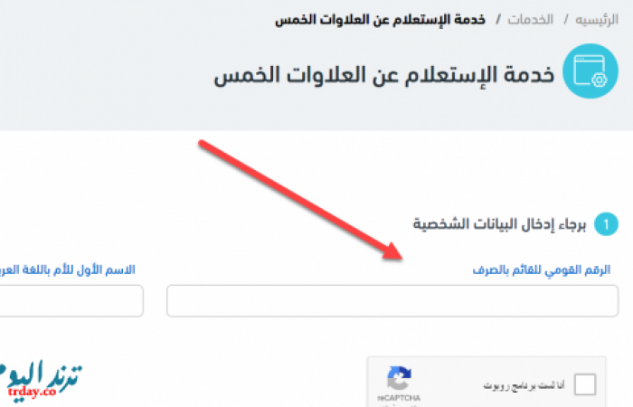 رابط موقع nosi gov egypt معرفة صرف الخمس العلاوات للمعاشات