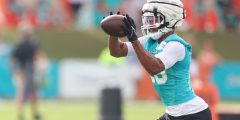Fitzpatrick يريد البقاء على المدى الطويل مع الدلافين