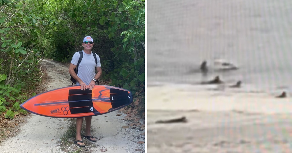 "[I’m] سعيد لم يكن فمه مفتوحًا ": Florida Surfer Headbutted بواسطة Flying Shark في الفيديو الفيروسي البري