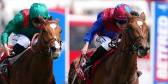 Jan Brueghel و Calandagan Clash in King George throf