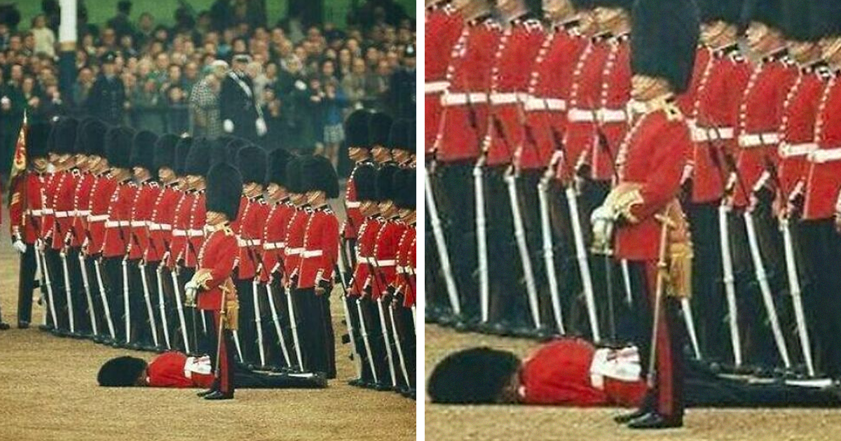 يشارك حساب Instagram لحظات رائعة من التاريخ ، وهنا 36 من المفضلة لدينا