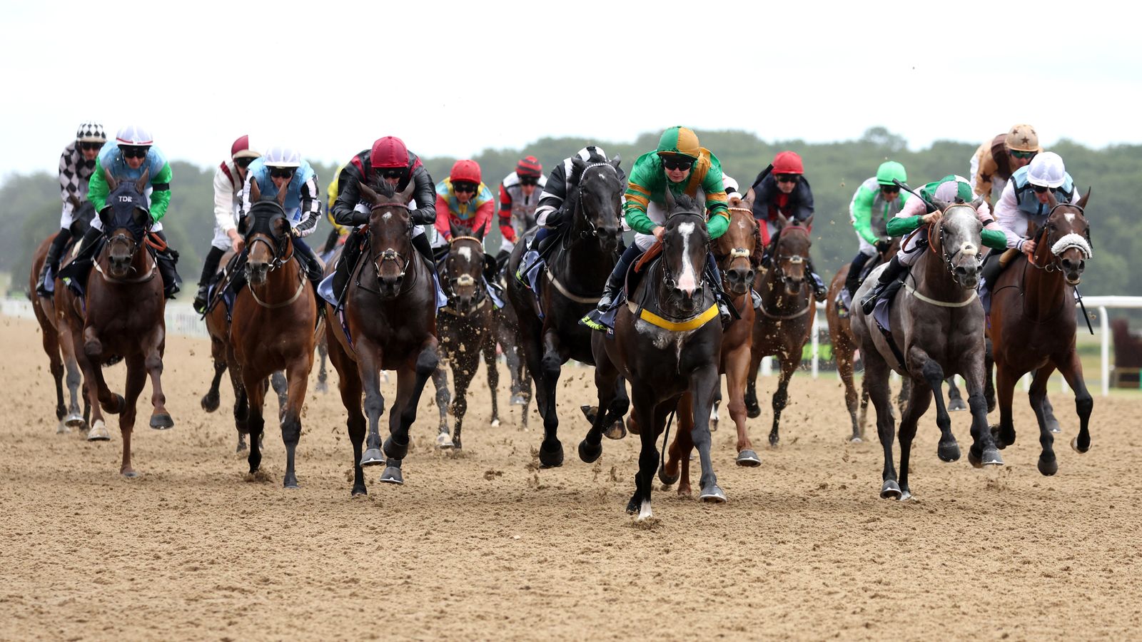 Southwell و Newcastle و Bath Host Friday Racing