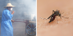 الذي يحذر من مخاطر Global Chikungunya مع اندلاع اندلاع الصين في سن 10،000 ويصل إلى بلد جديد