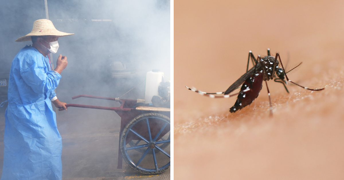 الذي يحذر من مخاطر Global Chikungunya مع اندلاع اندلاع الصين في سن 10،000 ويصل إلى بلد جديد