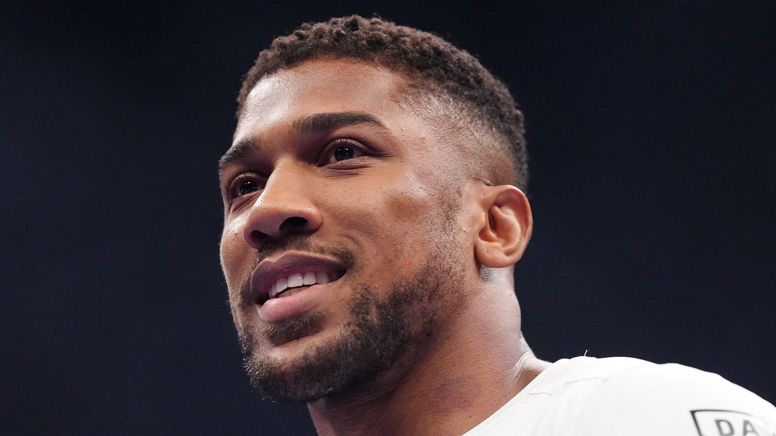 يستهدف Joshua أوائل عام 2026 العودة قبل "Roll of the Dice" Fury Mega-Fight