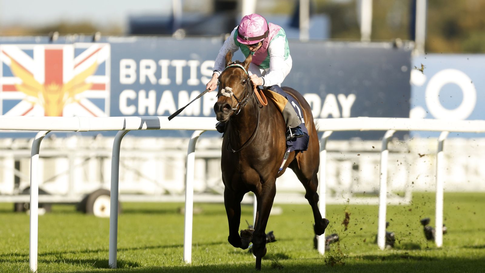 Kalpana ليس منافس قوس معين بعد هزيمة Kempton