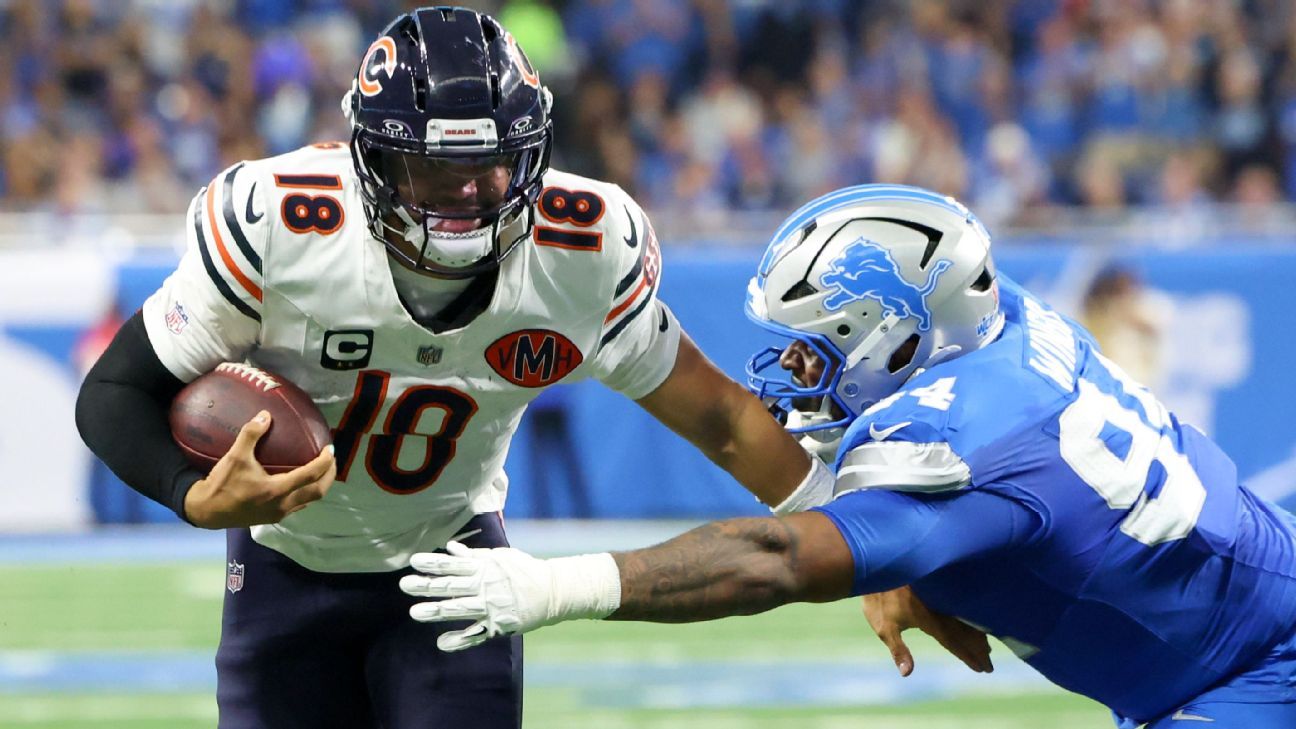 الدببة التي يشجعها نمو وليامز QB في الخسارة
