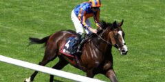 اليوم على Sky Sports Racing: الدورات الاسكندنافية وقفل Lambourn في St Leger
