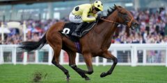 اليوم على Sky Sports Racing: تواجه Rosallion هنري ماتيس في مواجهة مولين