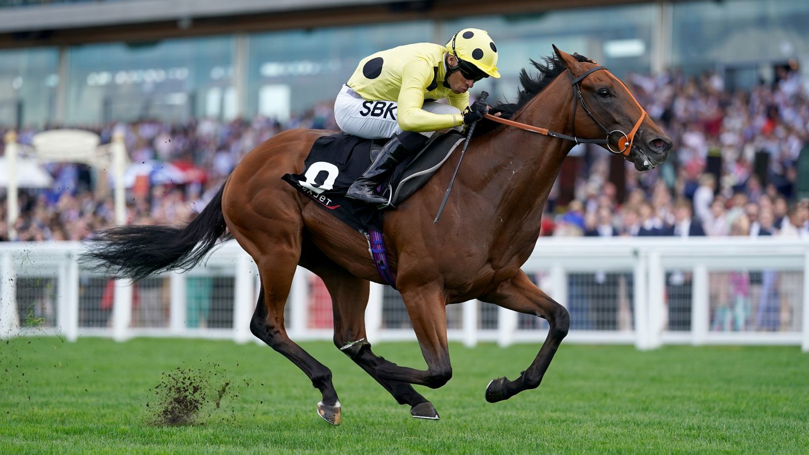 اليوم على Sky Sports Racing: تواجه Rosallion هنري ماتيس في مواجهة مولين