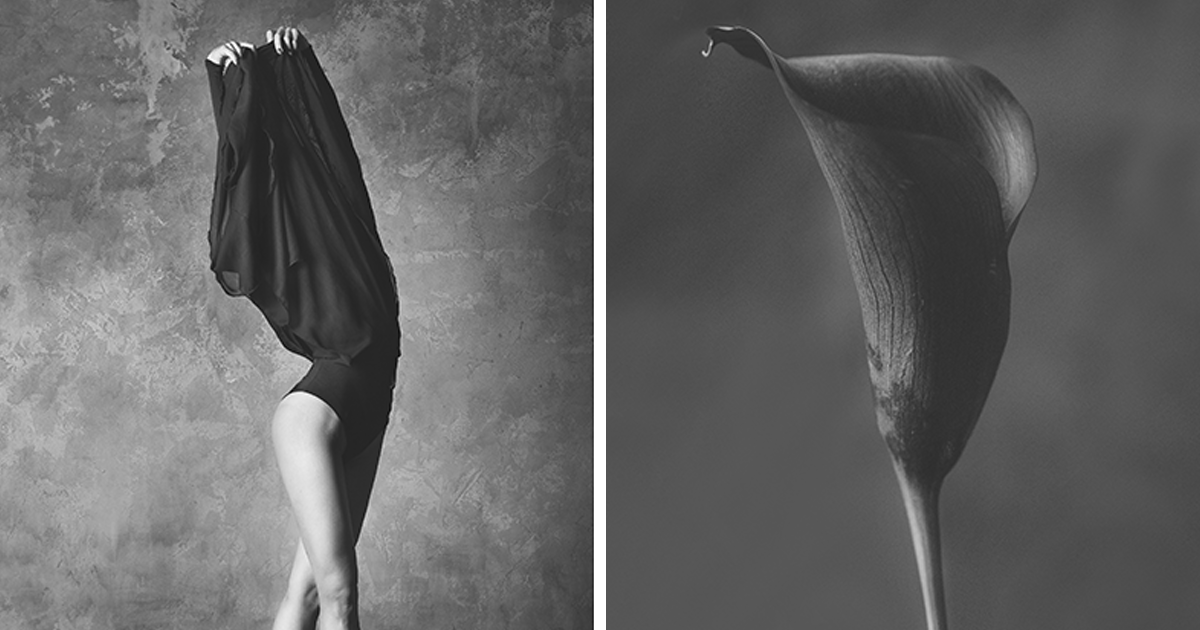 قام هذا المصور بإنشاء سلسلة صور مذهلة لمقارنة راقصات الباليه والزهور