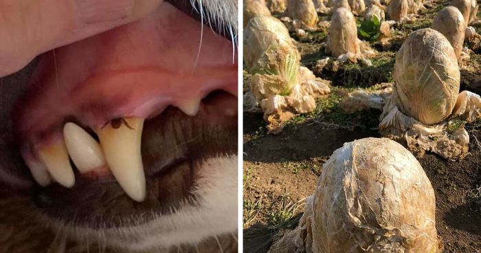 30 مرة أثبتت الطبيعة الأم أنها مخيفة للغاية