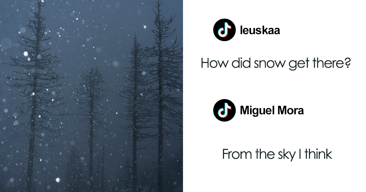 80 تعليقًا غريبًا ومضحكًا ومضطربًا تمامًا على TikTok