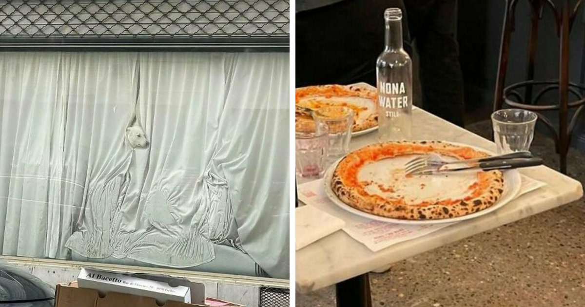 93 صورة غريبة تلخص تمامًا ما يعنيه العيش في بروكسل