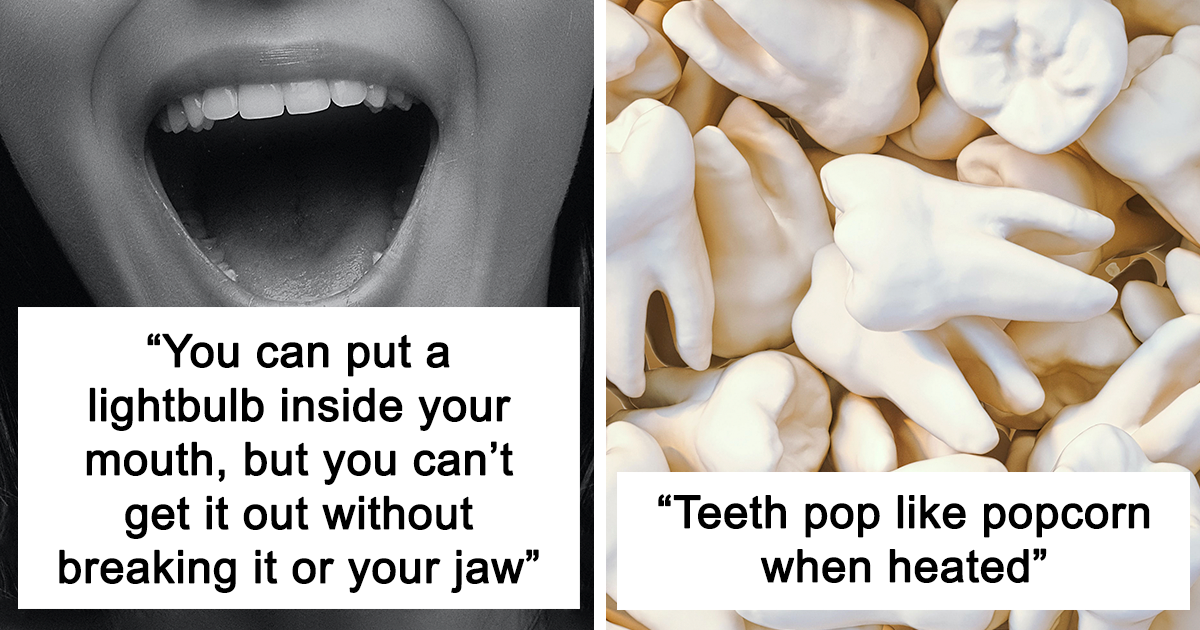 "الآن سيكون هذا عالقًا في رأسي": 41 قطعة لا قيمة لها من التوافه أو المعرفة التي يشاركها مجتمعنا