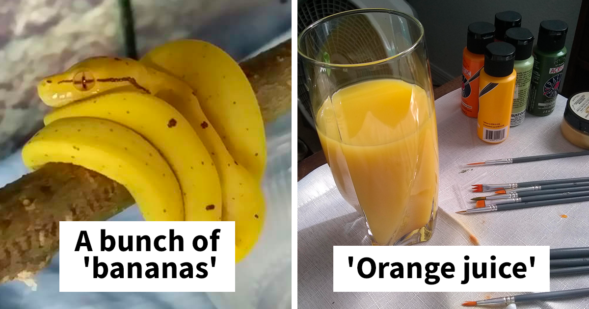 "الوجبات الخفيفة المحرمة": 44 مرة تبدو الأشياء غير الصالحة للأكل لذيذة بشكل مخادع