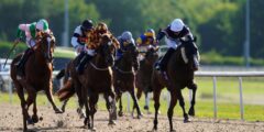 اليوم على Sky Sports Racing: تقدم شركة Sovereign Wealth لفتح حساب في Wolverhampton