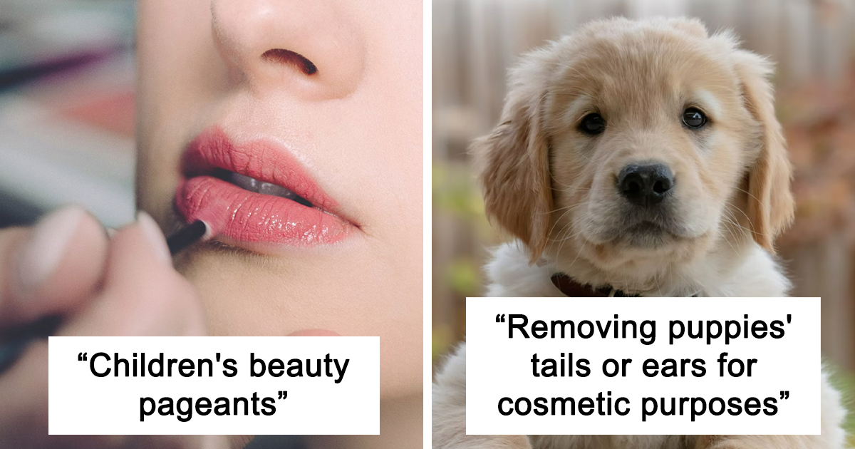 سألت مجتمعنا عما يعتقدون أنه غير قانوني ولكن ينبغي أن يكون، أجاب 44