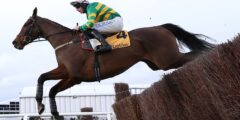 يرتد برج Spillane's مرة أخرى ليحقق انتصار Cotswold Chase