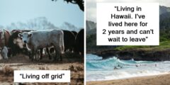 “العيش في هاواي”: 28 شيئًا يحلم به الناس حتى يحصلوا عليه بالفعل