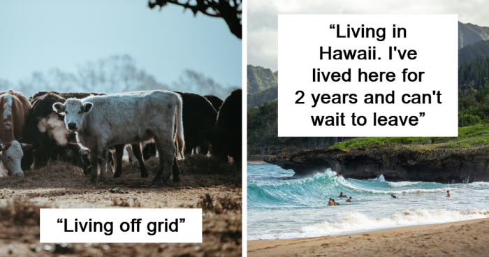 "العيش في هاواي": 28 شيئًا يحلم به الناس حتى يحصلوا عليه بالفعل