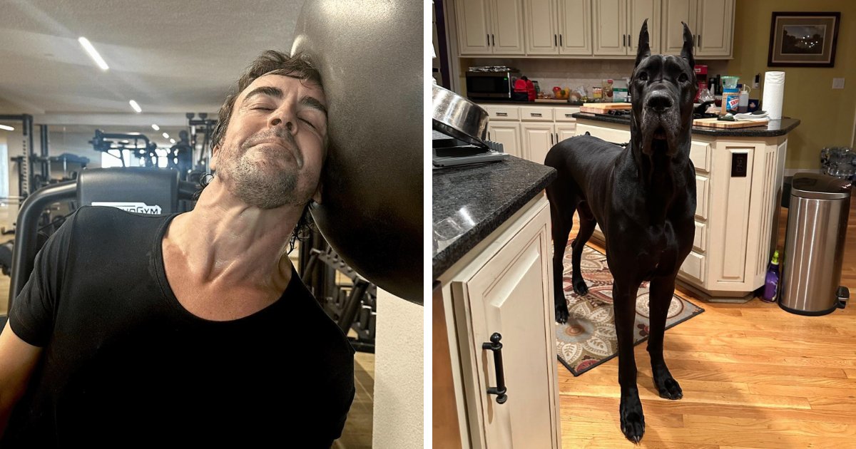 "الوحدات المطلقة": 82 مرة رأى الناس شيئًا كبيرًا جدًا، وكان عليهم فقط مشاركته (صور جديدة)